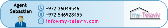 Apartement for sale 1 bedroom 2 rooms in Tel-Aviv elevator A/C balcony Allenby My-Telaviv real estate agency