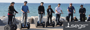 segs300x103